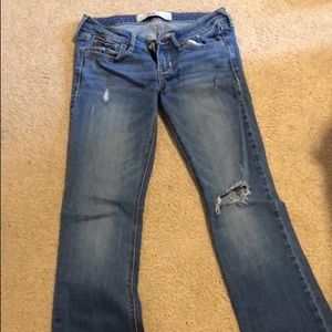 Hollister bootcut jeans